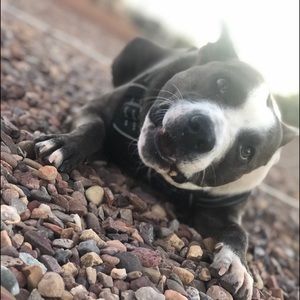 Meet your Posher, Selene